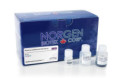 68400 Exoxome labeling and cleaning kit ( 25 rxn )
